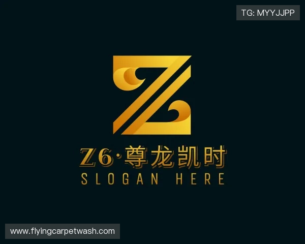 发现Z6·尊龙凯时